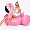 Flamingo Pool Float
